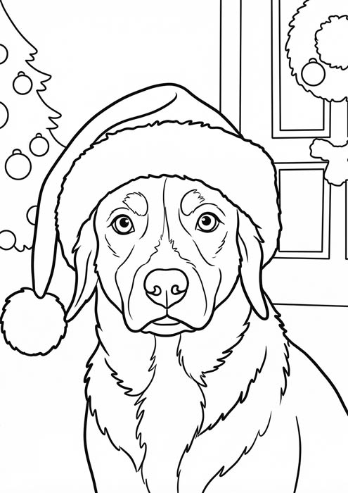 Hund mit Weihnachtsmütze sitzt vor der Tür mit Adventskranz.