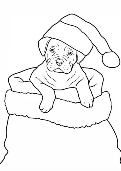 Niedlicher Welpe mit Weihnachtsmütze im Weihnachtsstrumpf als Malvorlage.