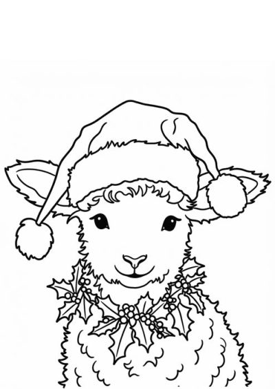 Niedliches Lamm mit Weihnachtsmütze und Stechpalmenkranz als Malvorlage.